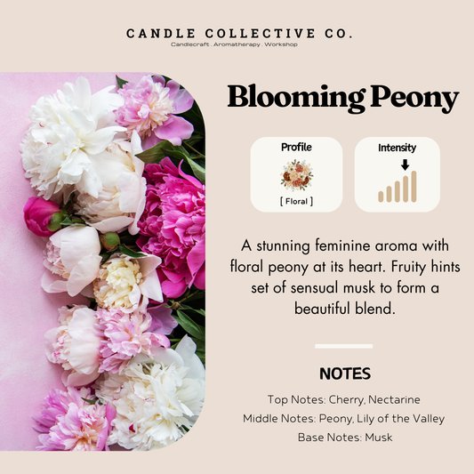 Blooming Peony