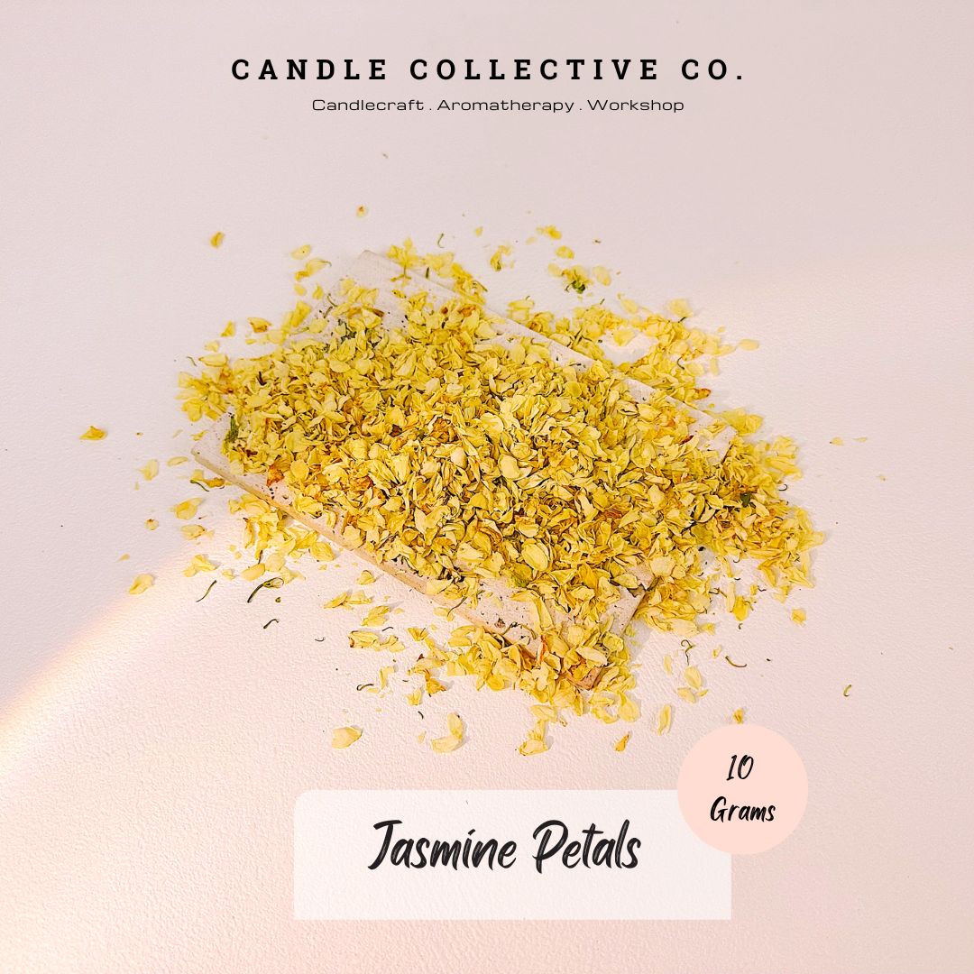 Dried Flowers Decorative