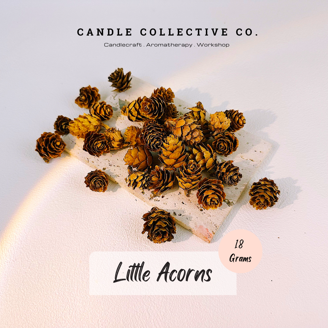 Little Acorns