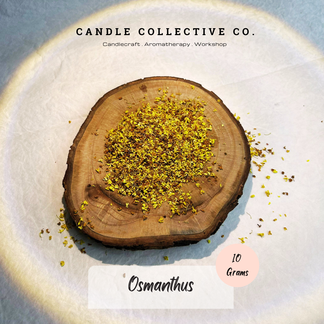 Osmanthus
