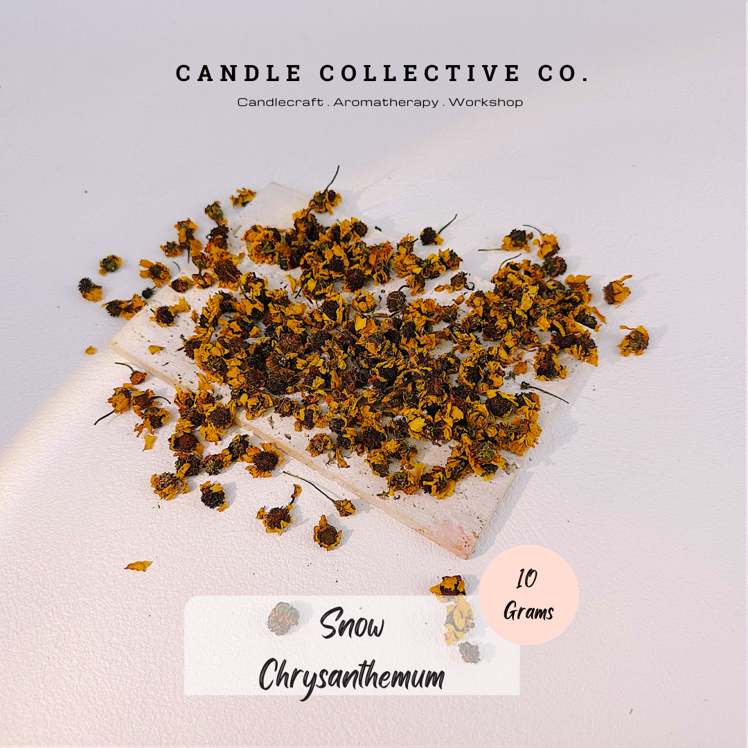 Dried Flowers Decorative