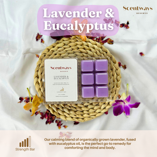 Lavender Eucalyptus