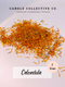 Calendula