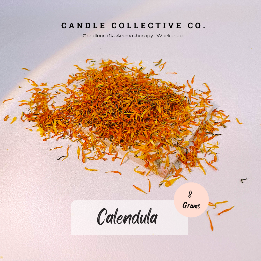 Dried Flowers Decorative