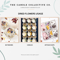 Dried Flowers Decorative