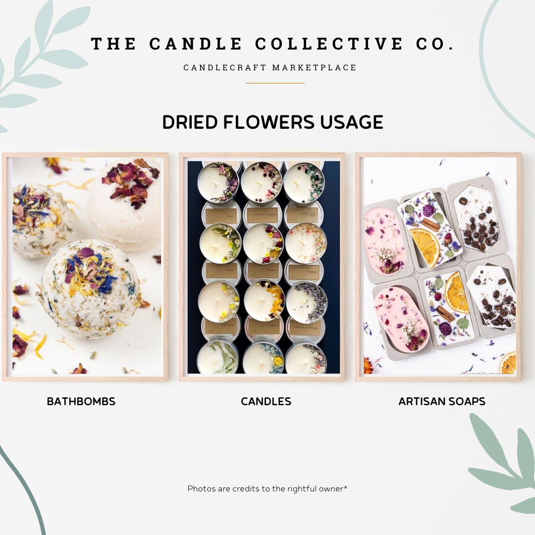 Dried Flowers Decorative