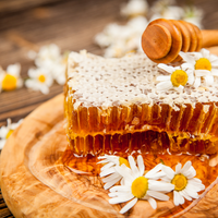 Honeycomb