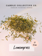 Lemongrass