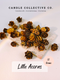 Little Acorns