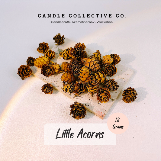 Little Acorns