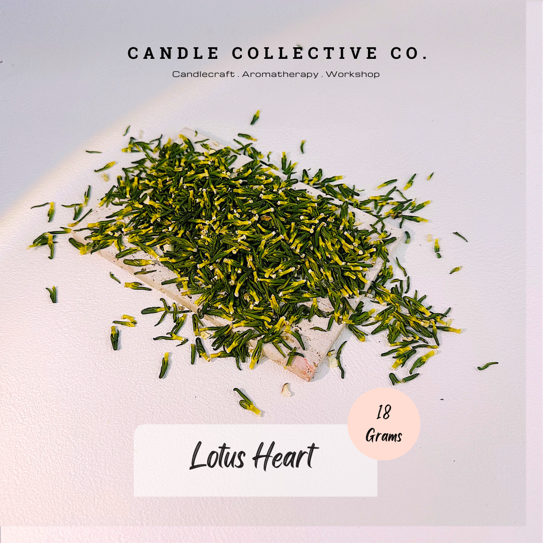 Dried Flowers Decorative