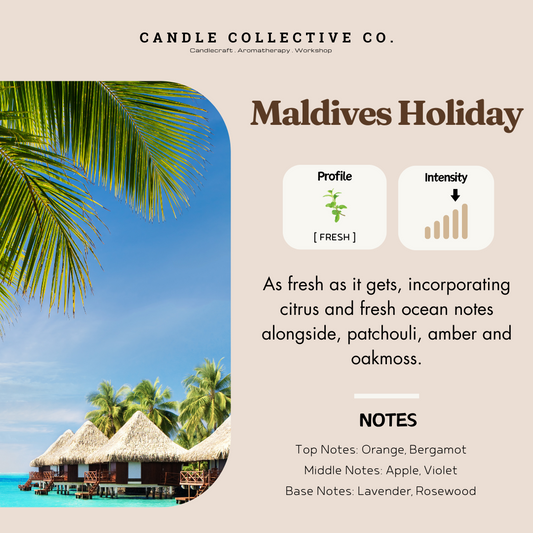 Maldives Holiday