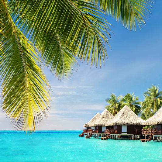 Maldives Holiday