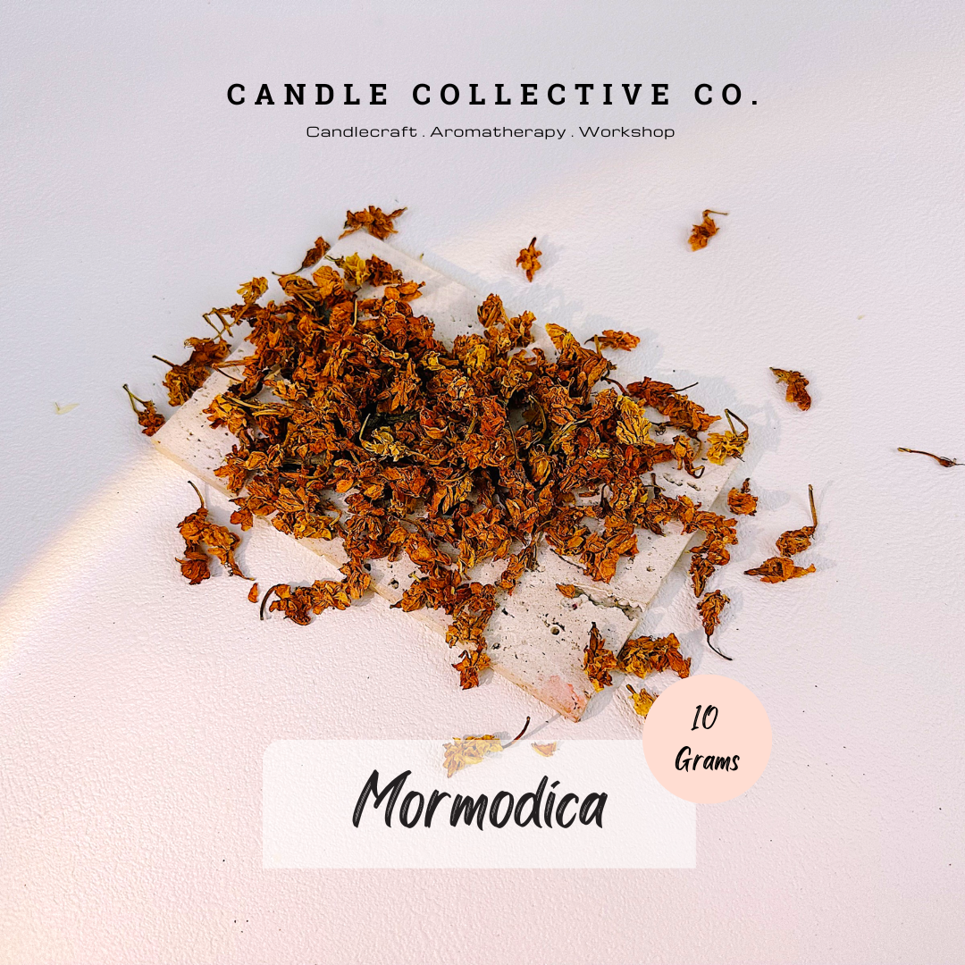 Dried Flowers Decorative