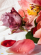 Ms Blooming Bouquet