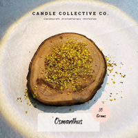 Dried Flowers Decorative