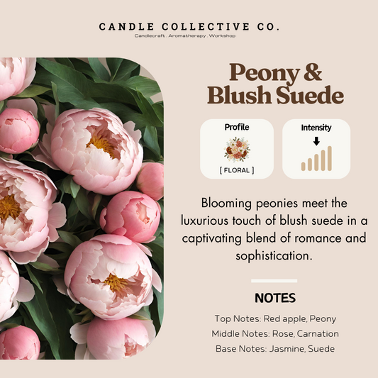 Peony & Blush Suede
