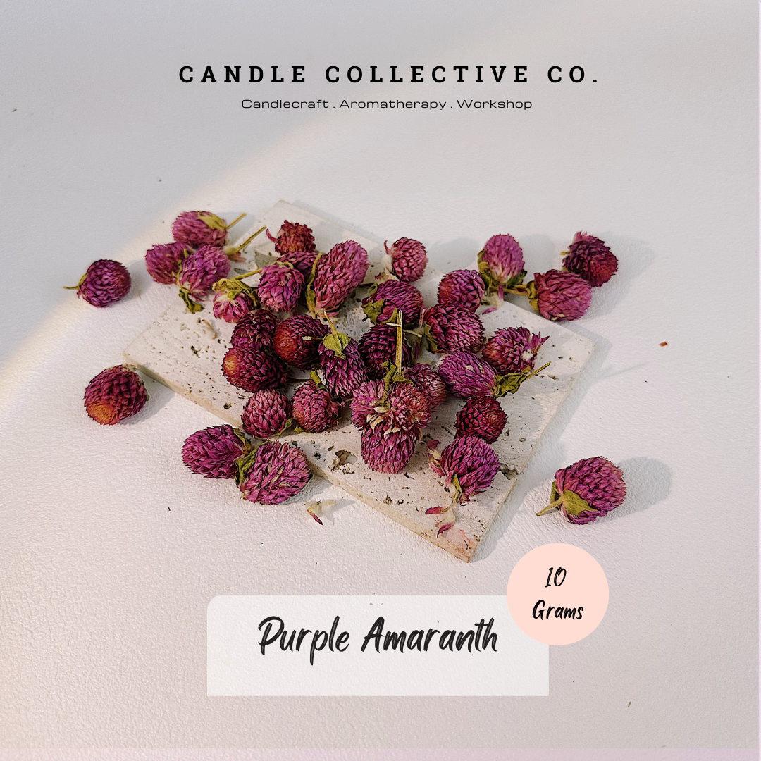 Dried Flowers Decorative