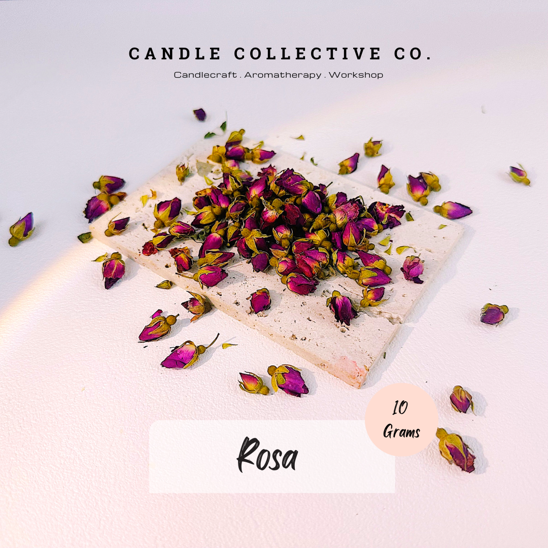 Dried Flowers Decorative