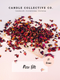 Rose Bits