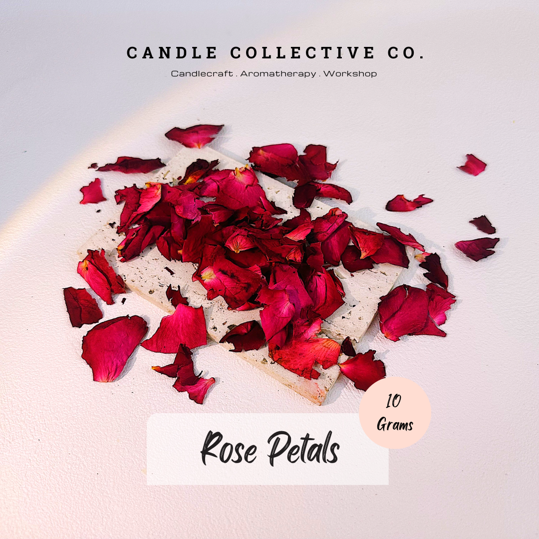 Dried Flowers Decorative