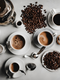 Coffee Arabica