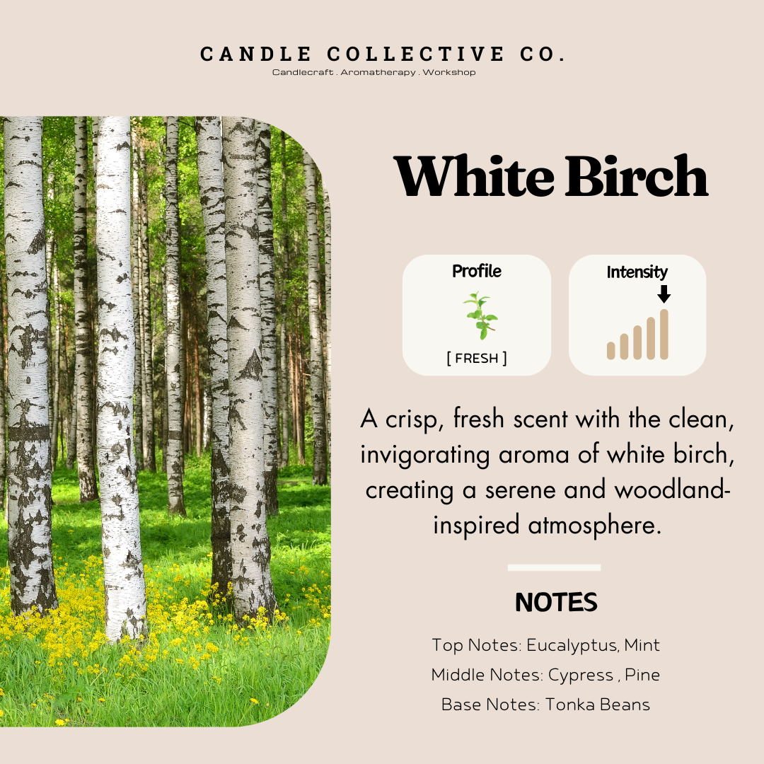 White Birch