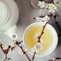 White Tea