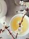 White Tea